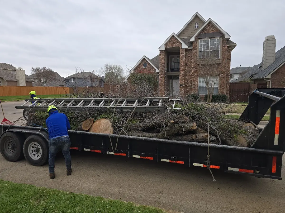 Expert Tree Fertilization with proper safety equipment in Franktown